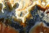 Polished Trent Agate With Stibnite & Realgar - Oregon #378034-1